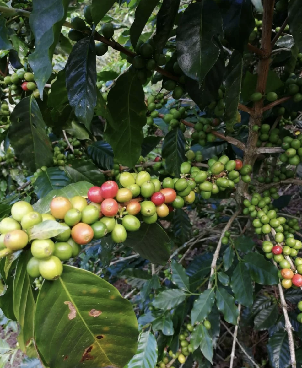 Screen Shot 2022-11-01 at 10.32.18 PM.png