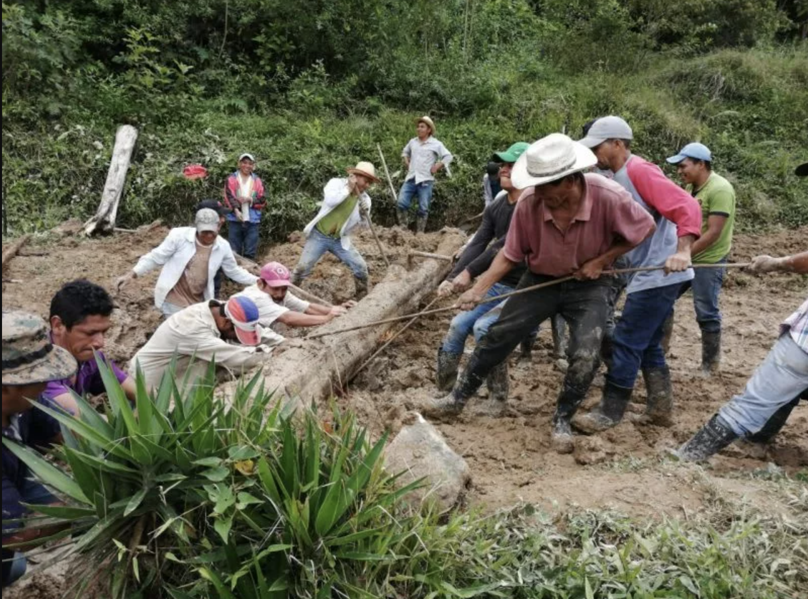 Screen Shot 2022-11-01 at 10.28.21 PM.png