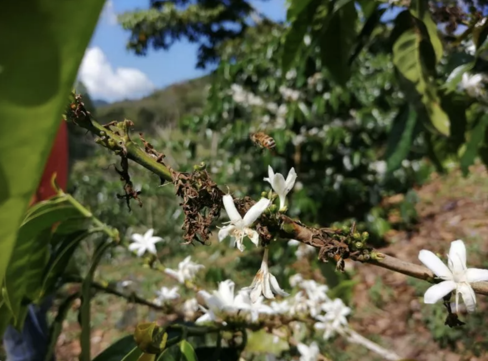 Screen Shot 2022-11-01 at 10.26.32 PM.png