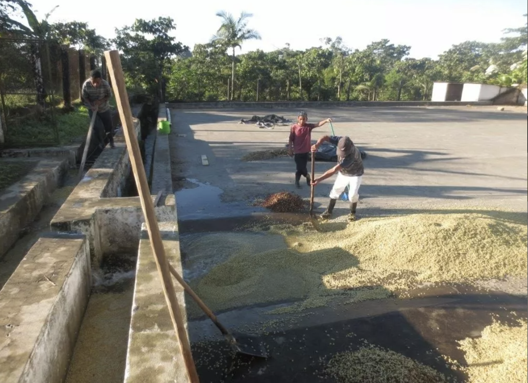 Screen Shot 2022-10-31 at 9.45.55 PM.png