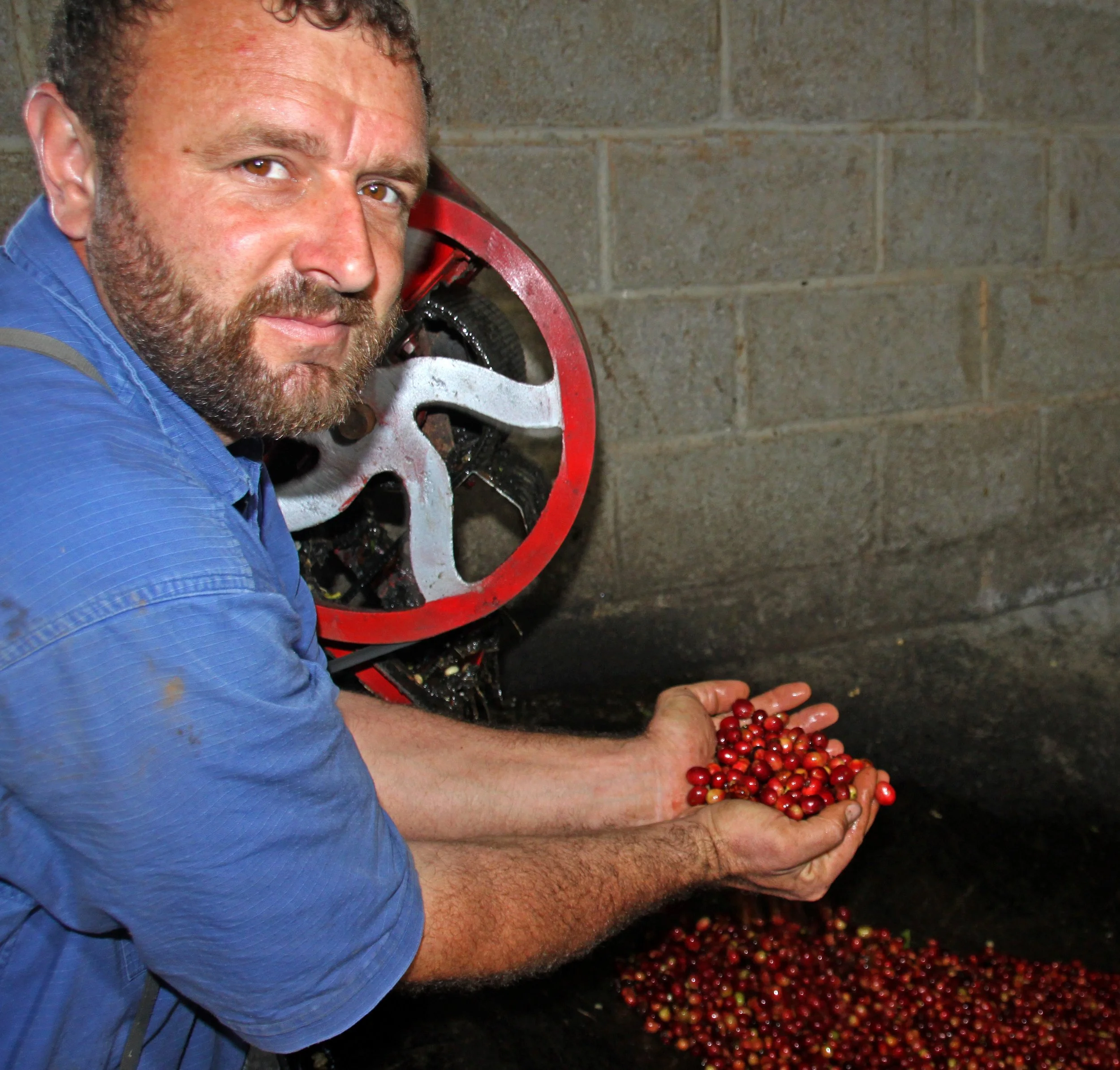 6-Eric Showalter with ripe coffee (1).JPG