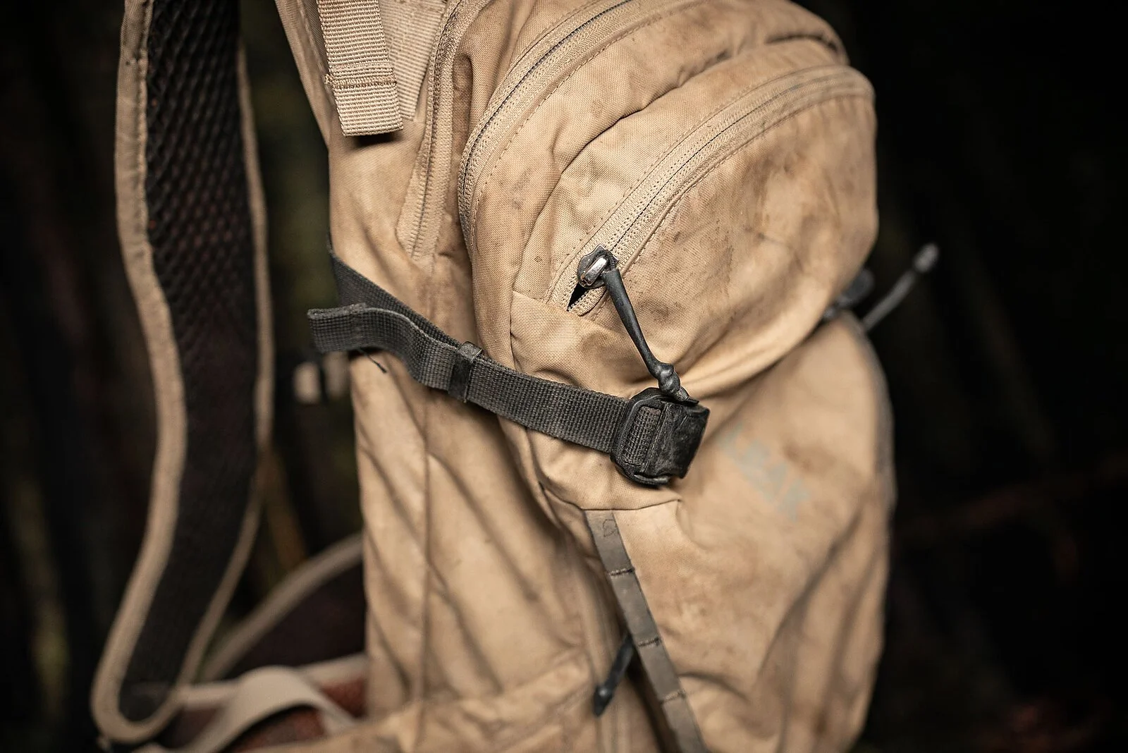 Camelback-4.jpg