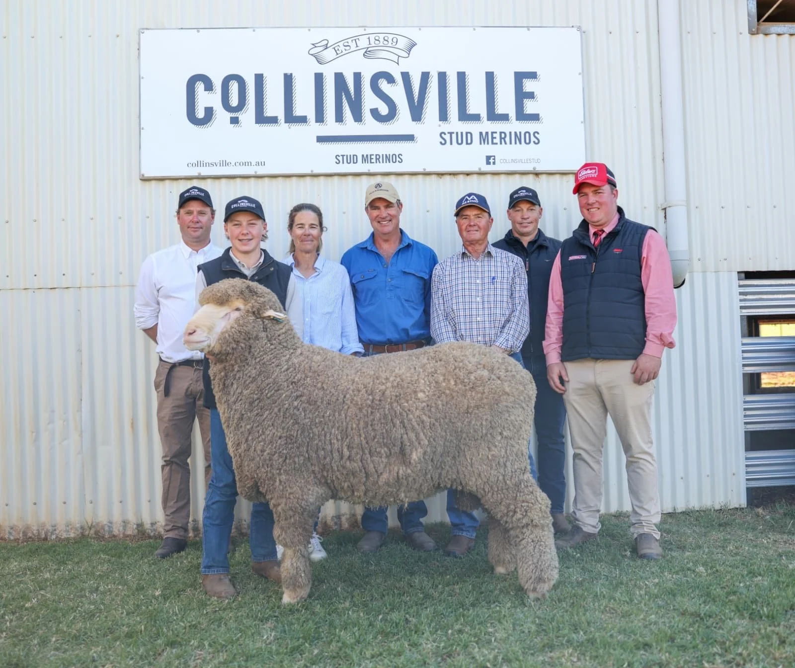North Ashrose is pleased to announce our semen share purchase of Collinsville Cruden 250008 at the 2026 Collinsville On Property Sale, with Old Ashrose and Kolindale Studs for $78,000. 