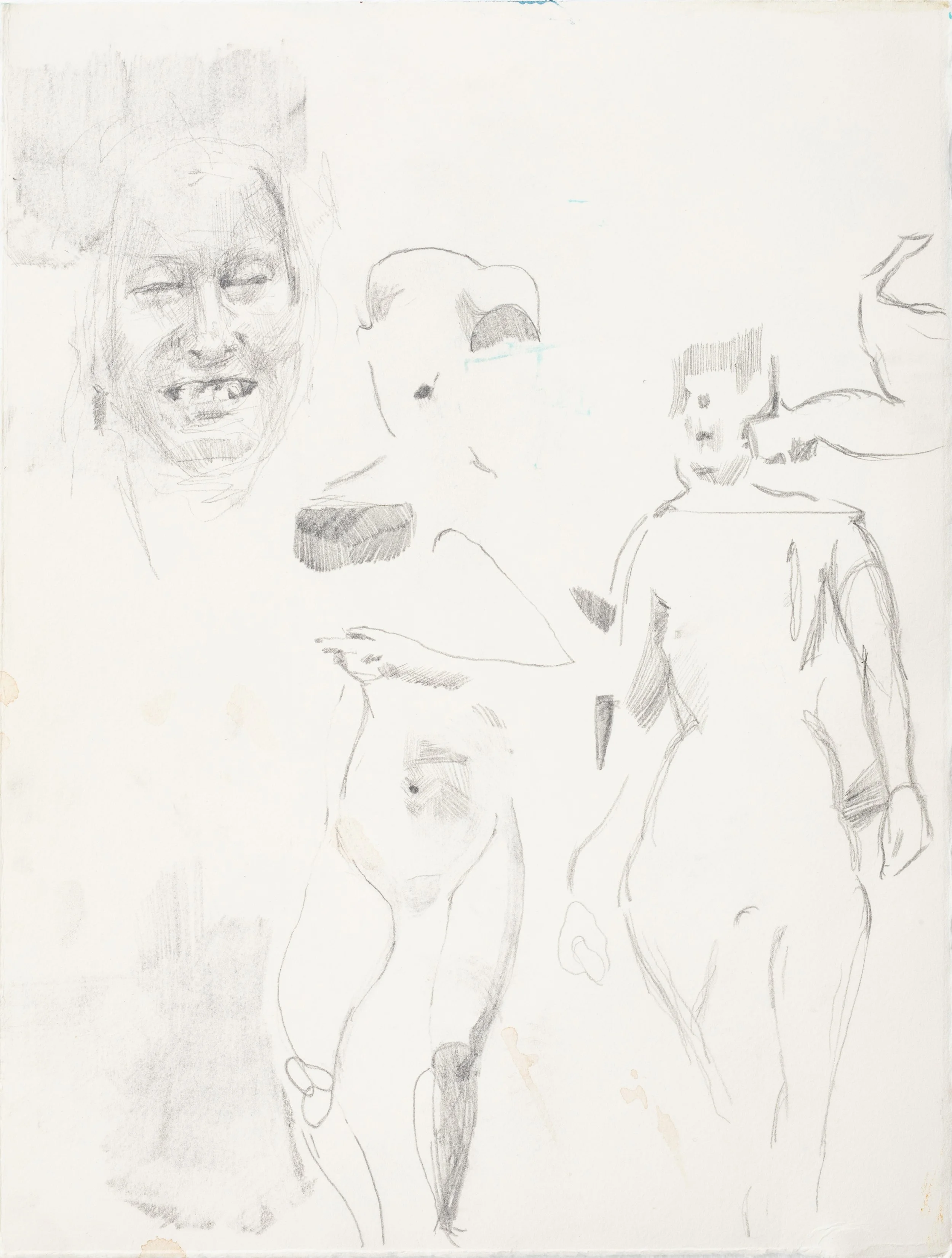 156A2186.jpgcrop.jpg