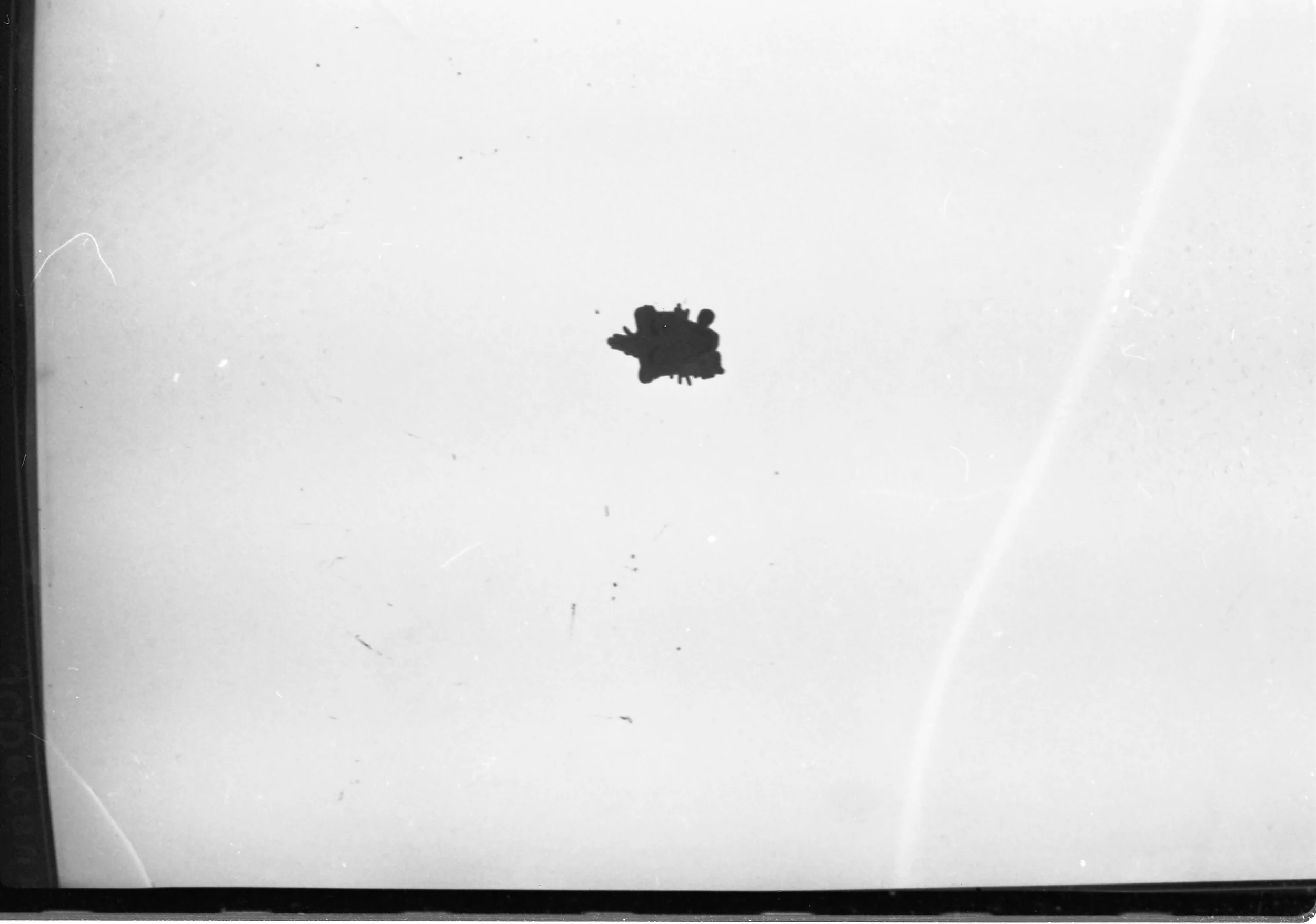 leaf, 2022
35mm film