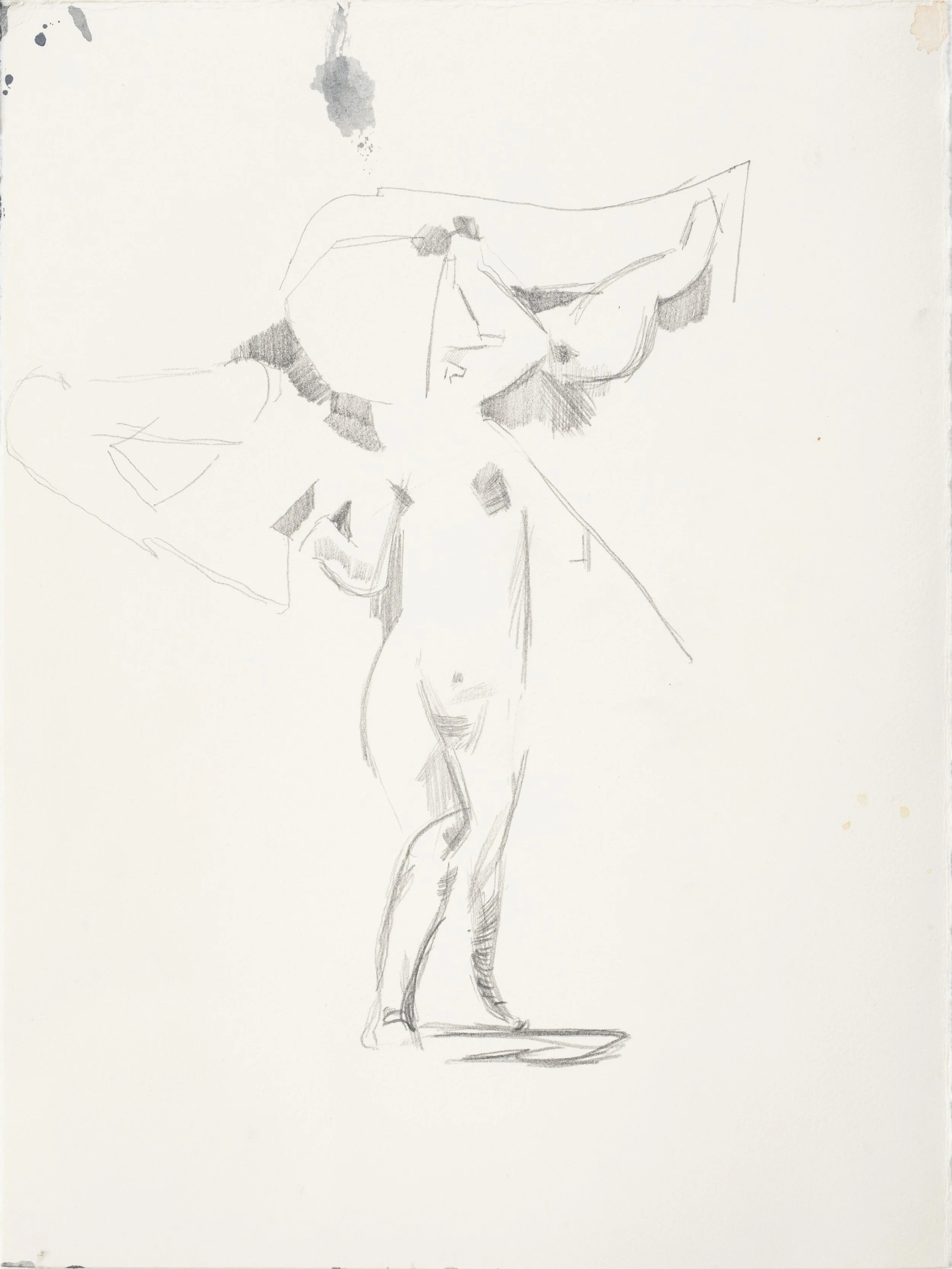 156A2187.jpgcrop.jpg
