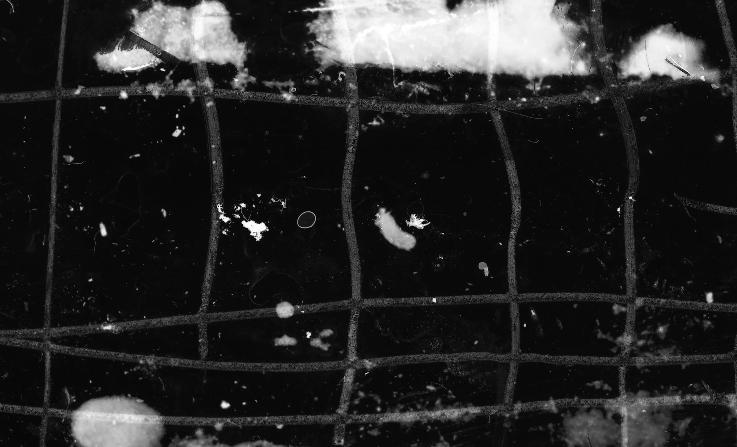 68350890-CE07-471D-8BD9-231967E82A6A.jpeg