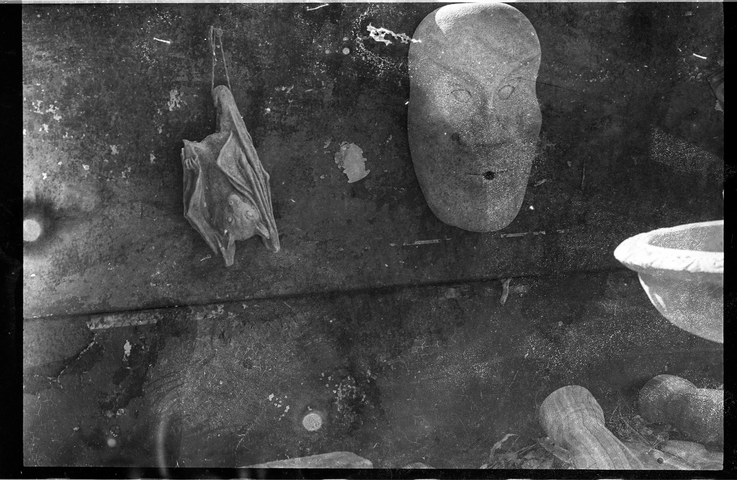Stonegarden, 2022
35mm film