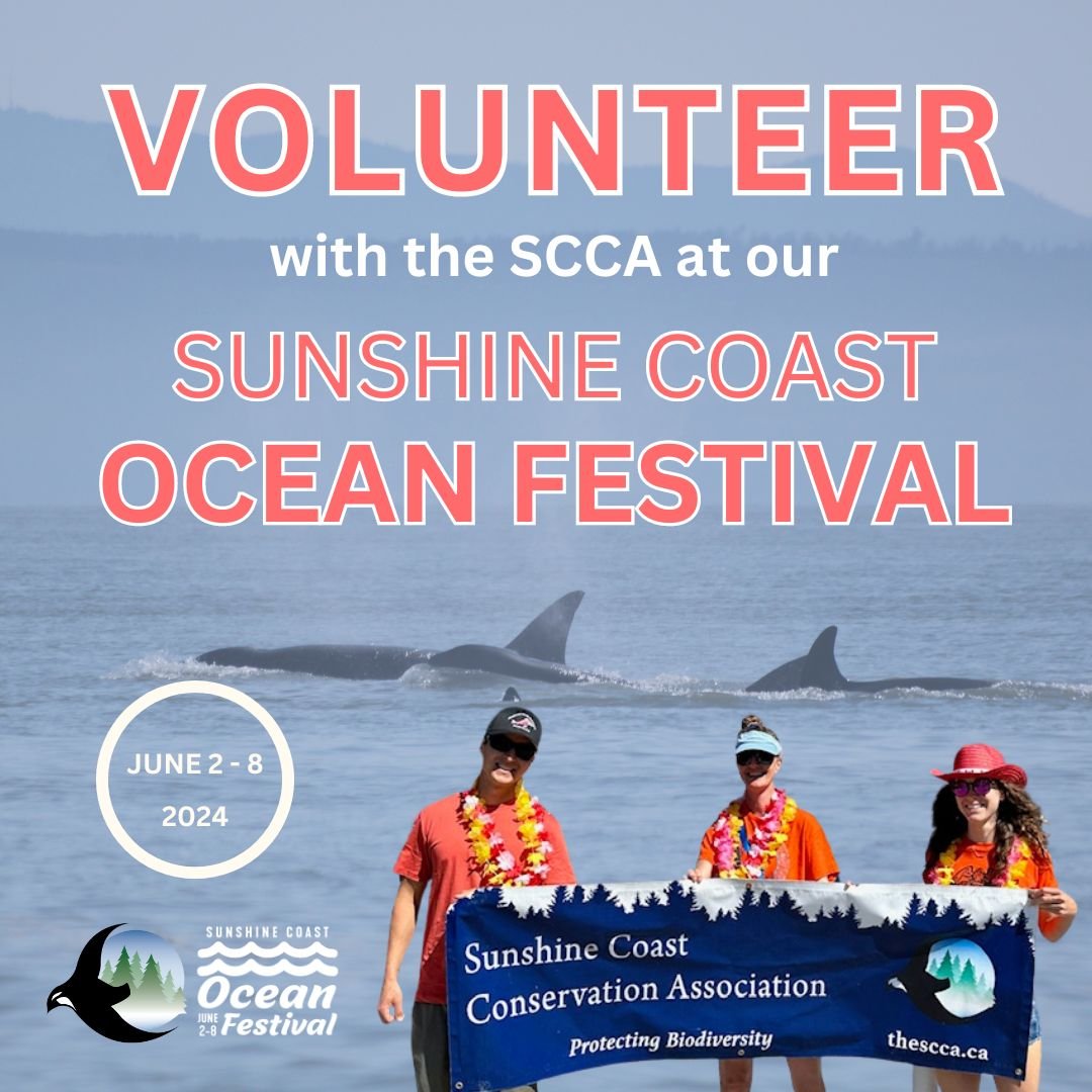Excited for our Sunshine Coast Ocean Festival and want to be even more involved?!