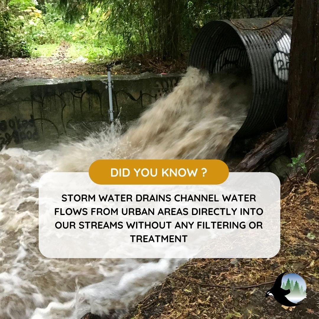 Urbanization creates a significant problem for our stream systems in the way of pollution