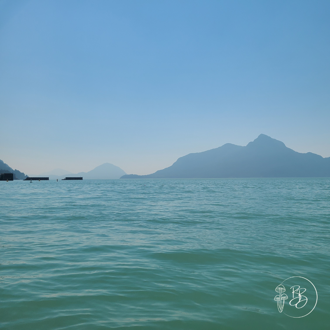 Mountains over the Howe Sound fjord at Porteau Cove