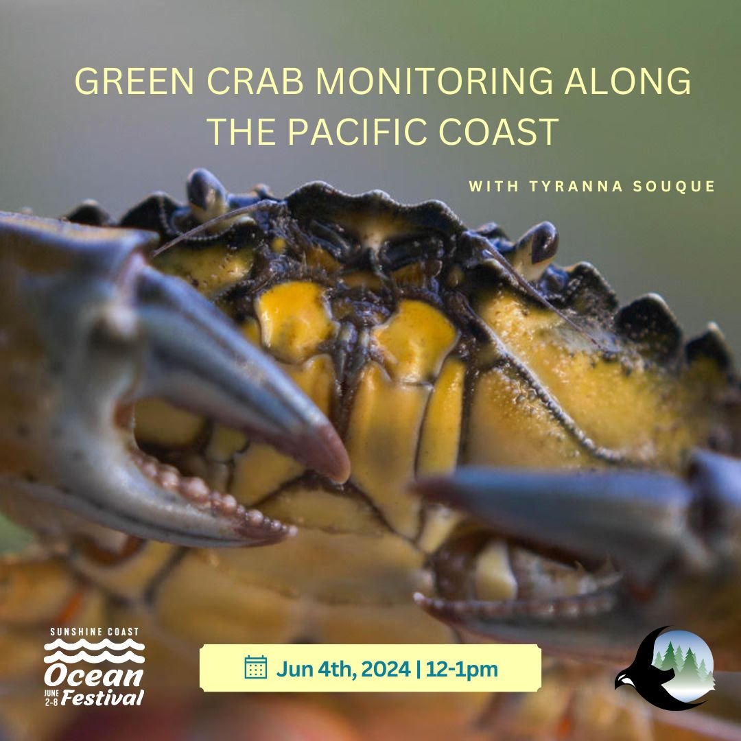 What’s happening along the Pacific Coast with monitoring of the invasive European Green Crab?
