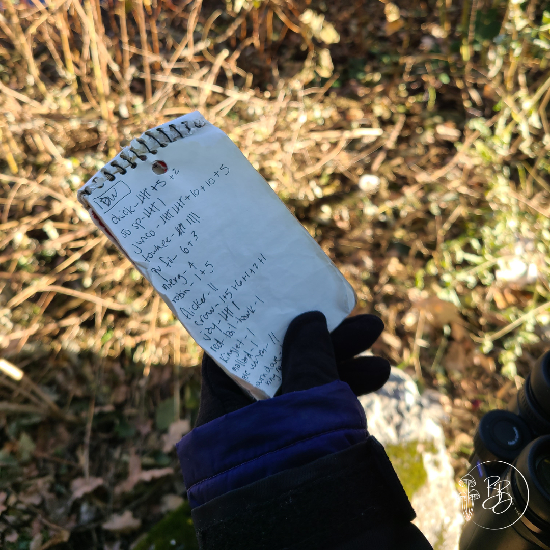 A close up list of birds counted