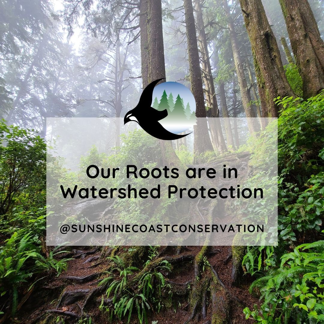 Our Roots are in Watershed Protection