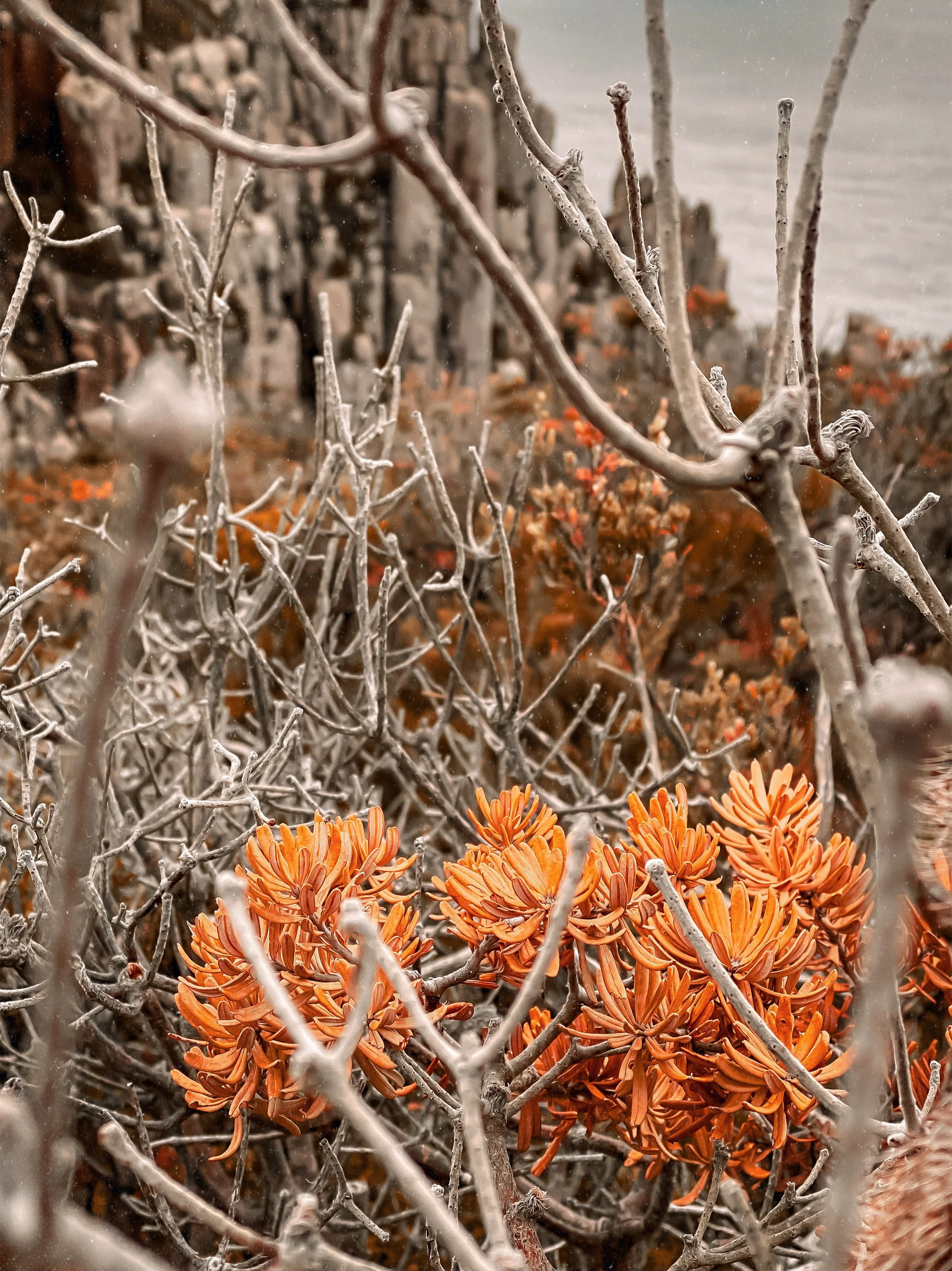 AfterlightImage-7.jpg