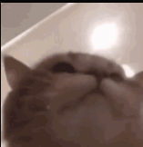 Screenshot 2023-12-07 201625.png