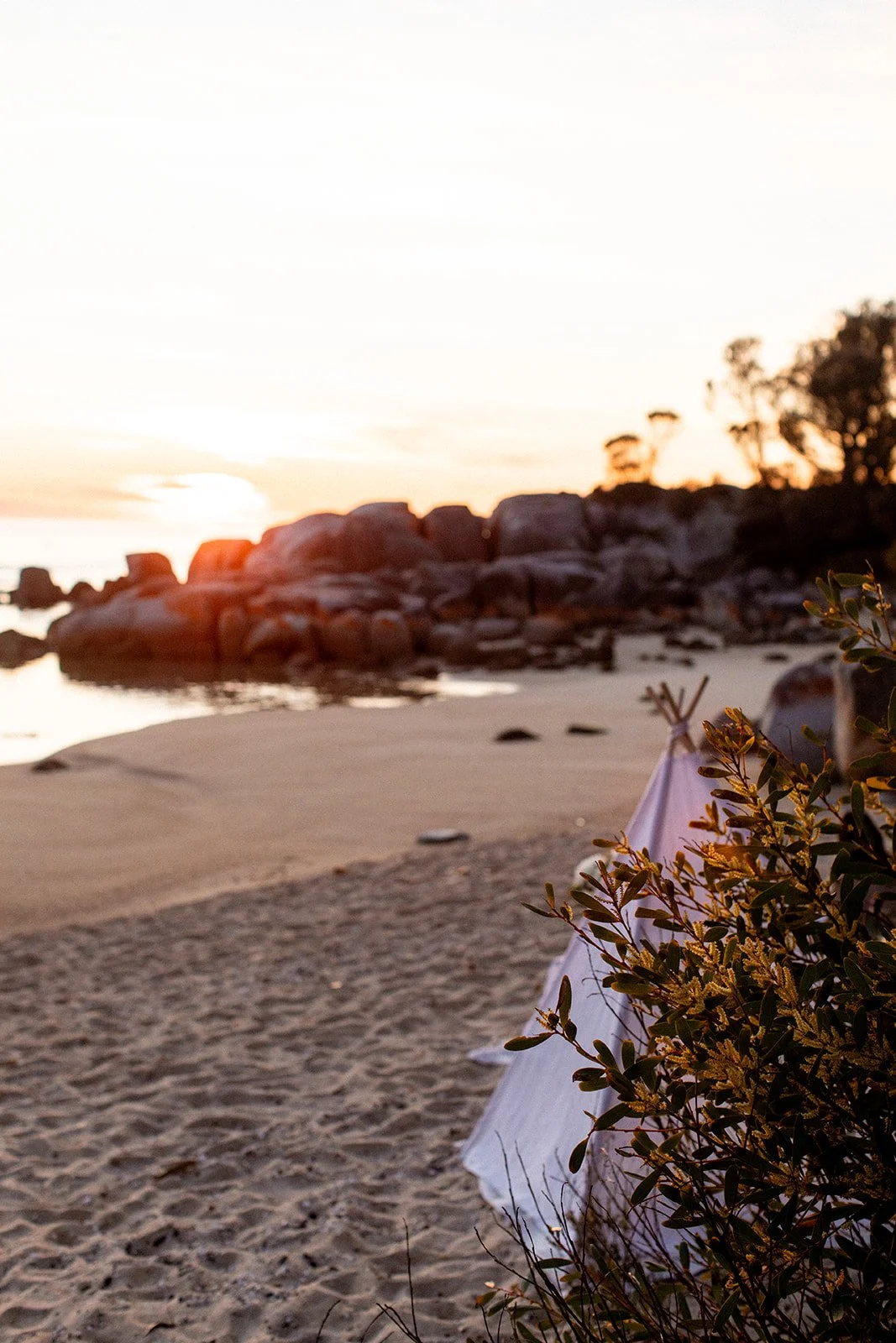 Beach scene during sunset with rocks, sandy shore, and a small tent partially obscured by plants in the foreground.