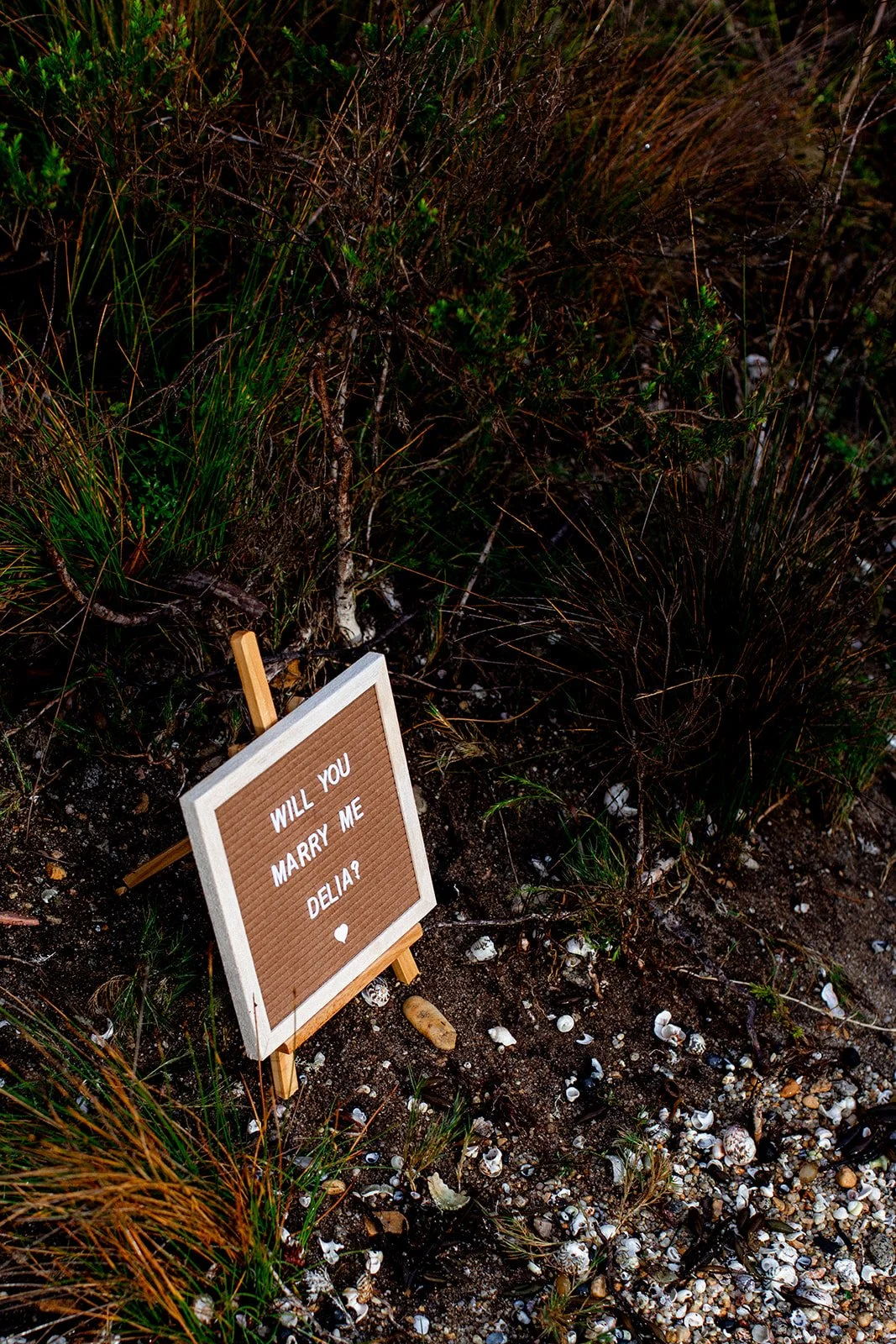 Daniel Livings Photography Pop Up Proposal Tasmania