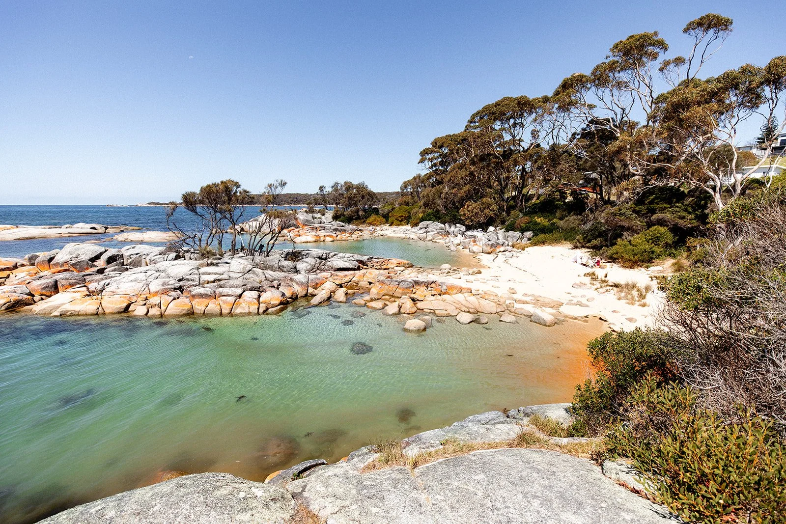 Beach with white sand and orange lichon covered rocks in Tasmania