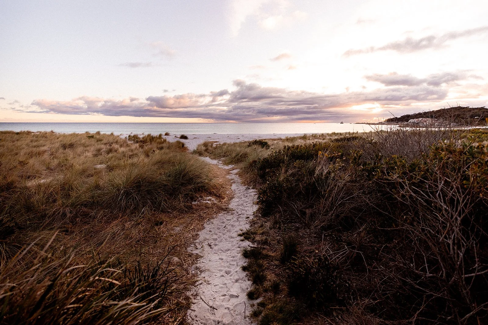 A sandy path leading through grassy dunes towards a beach with calm water and a cloudy sky during sunset.