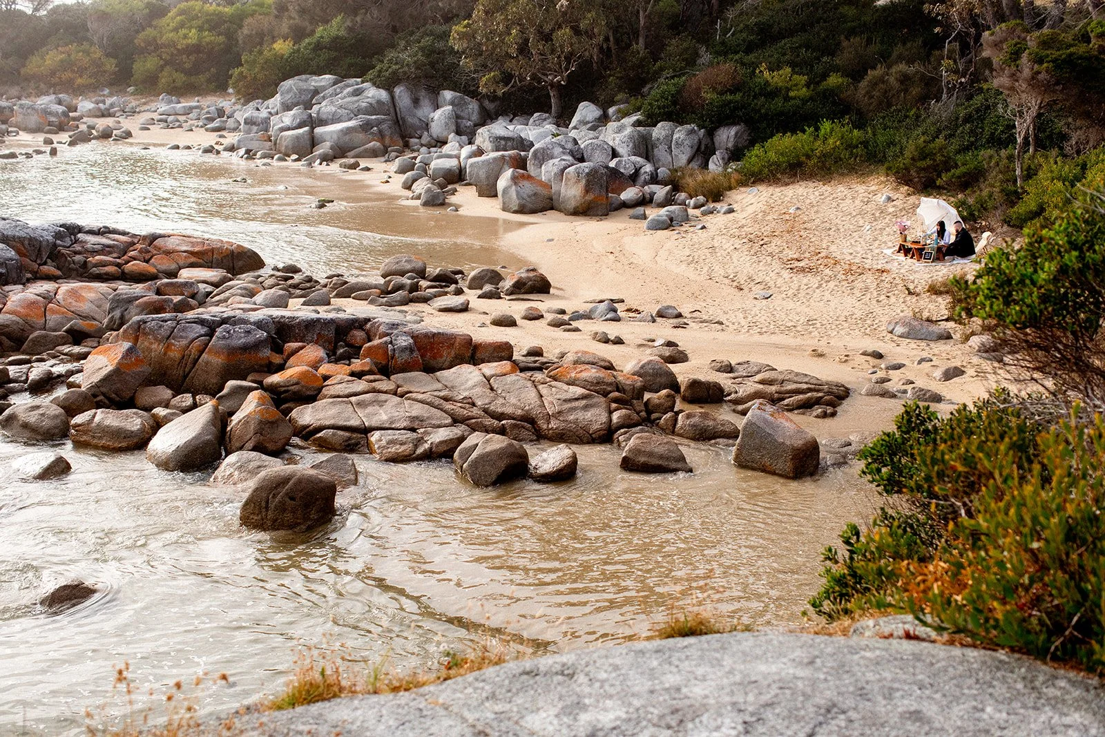 A rocky beach with large boulders, sandy shoreline, and greenery along the hills. A person and a dog are sitting under a white umbrella on the hillside.