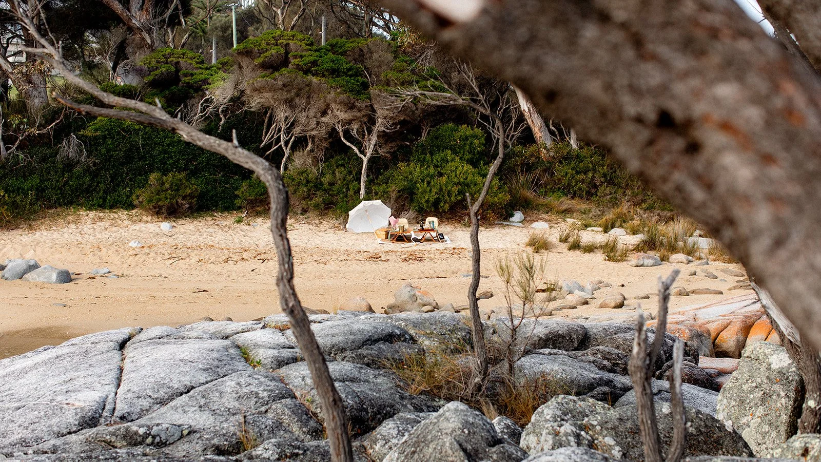 Beach scene with a grassy area, rocks, trees, and a small setup of chairs and an umbrella in the distance.