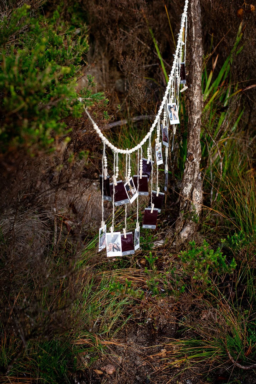 String of white beads and hanging small printed photographs attached with clothespins, hanging between trees and bushes in a natural outdoor setting.