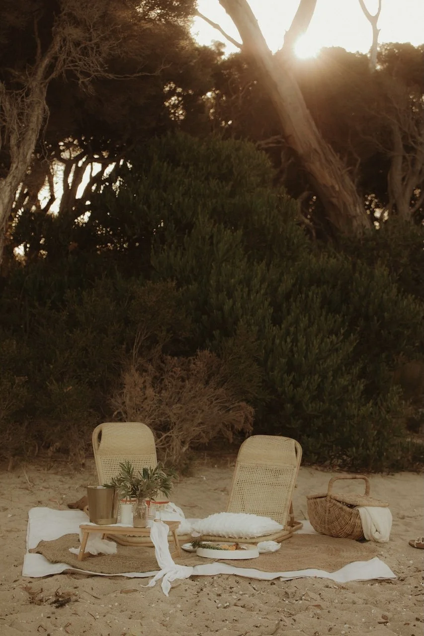 Laid Back Picnic Bay of Fires Proposal
