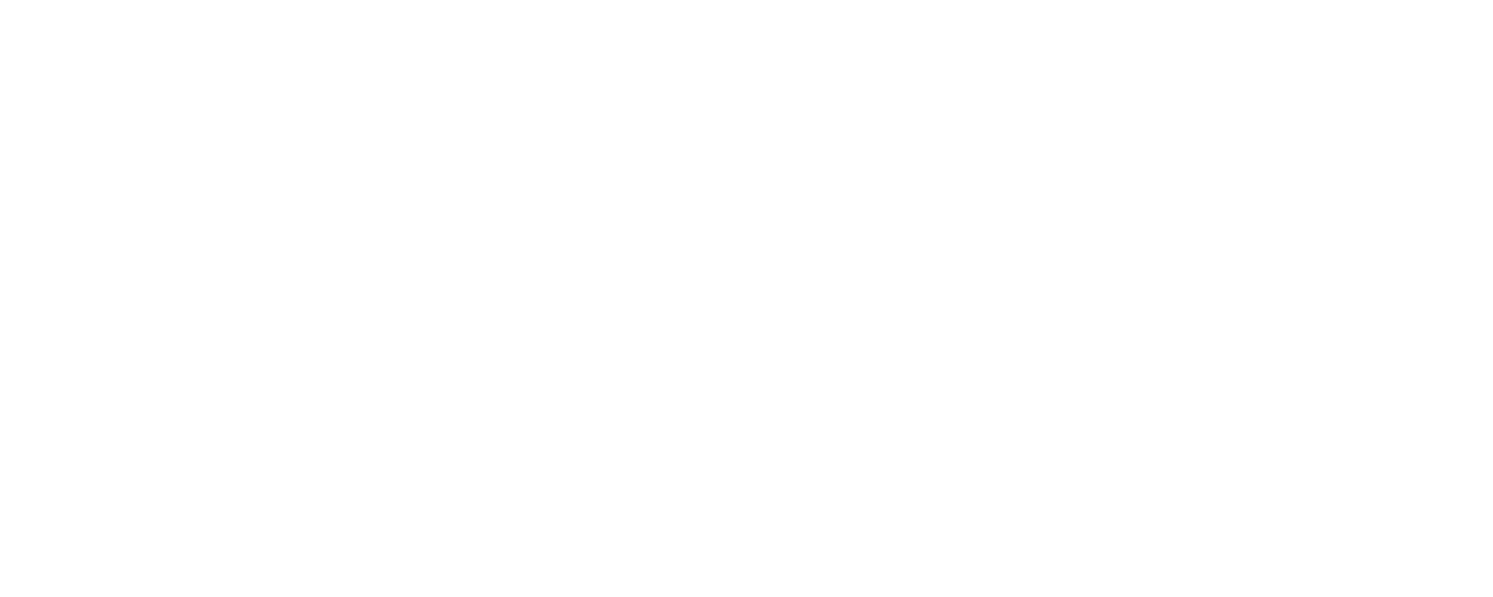 Salty Picnic Co