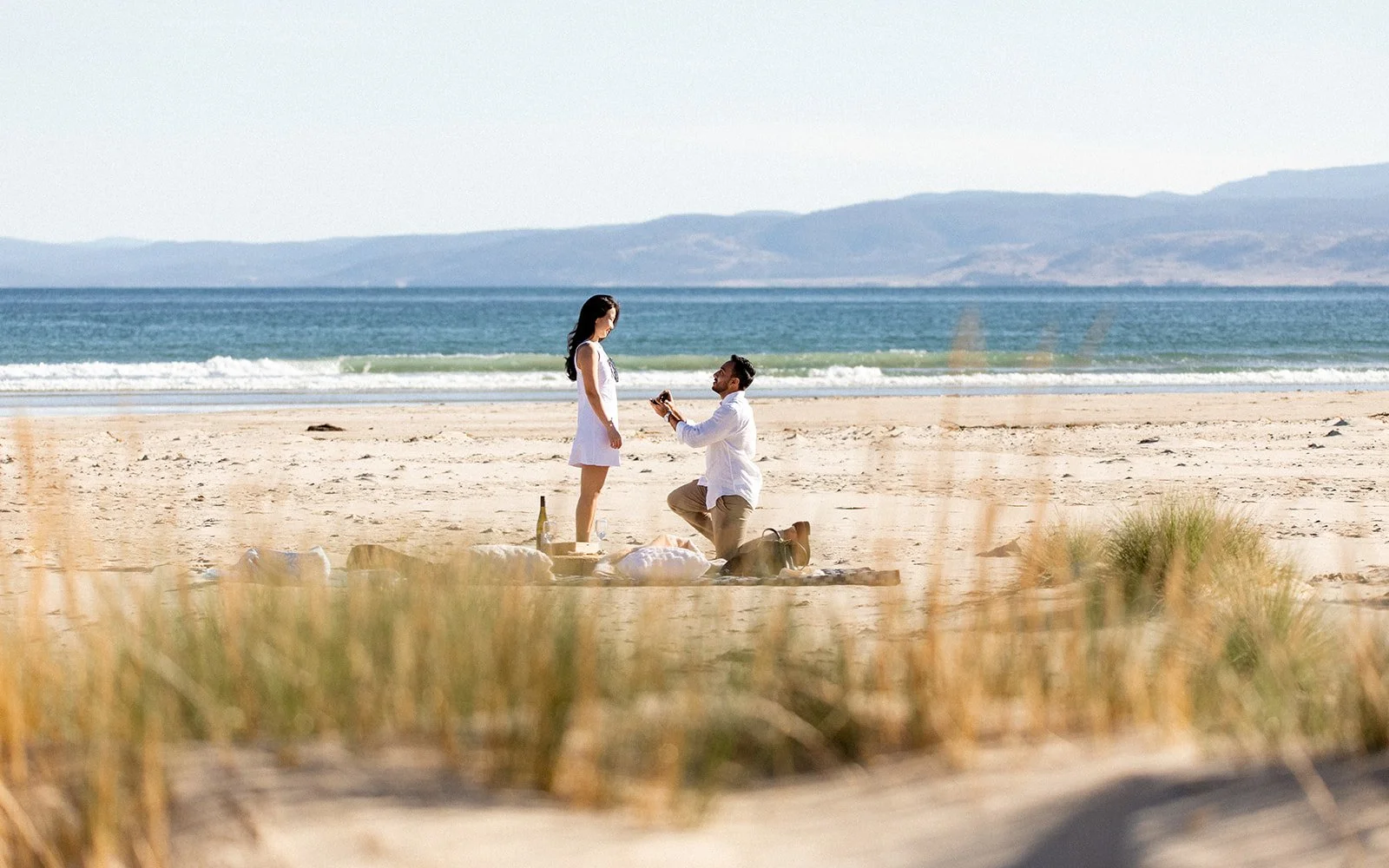 Coles Bay summer proposal