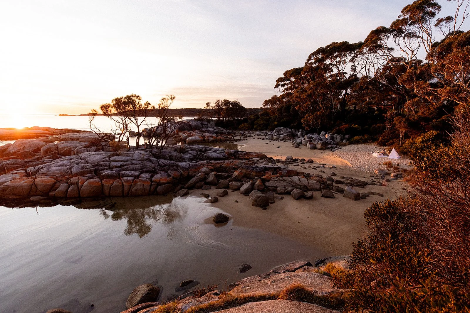 Planning the perfect Tasmanian proposal