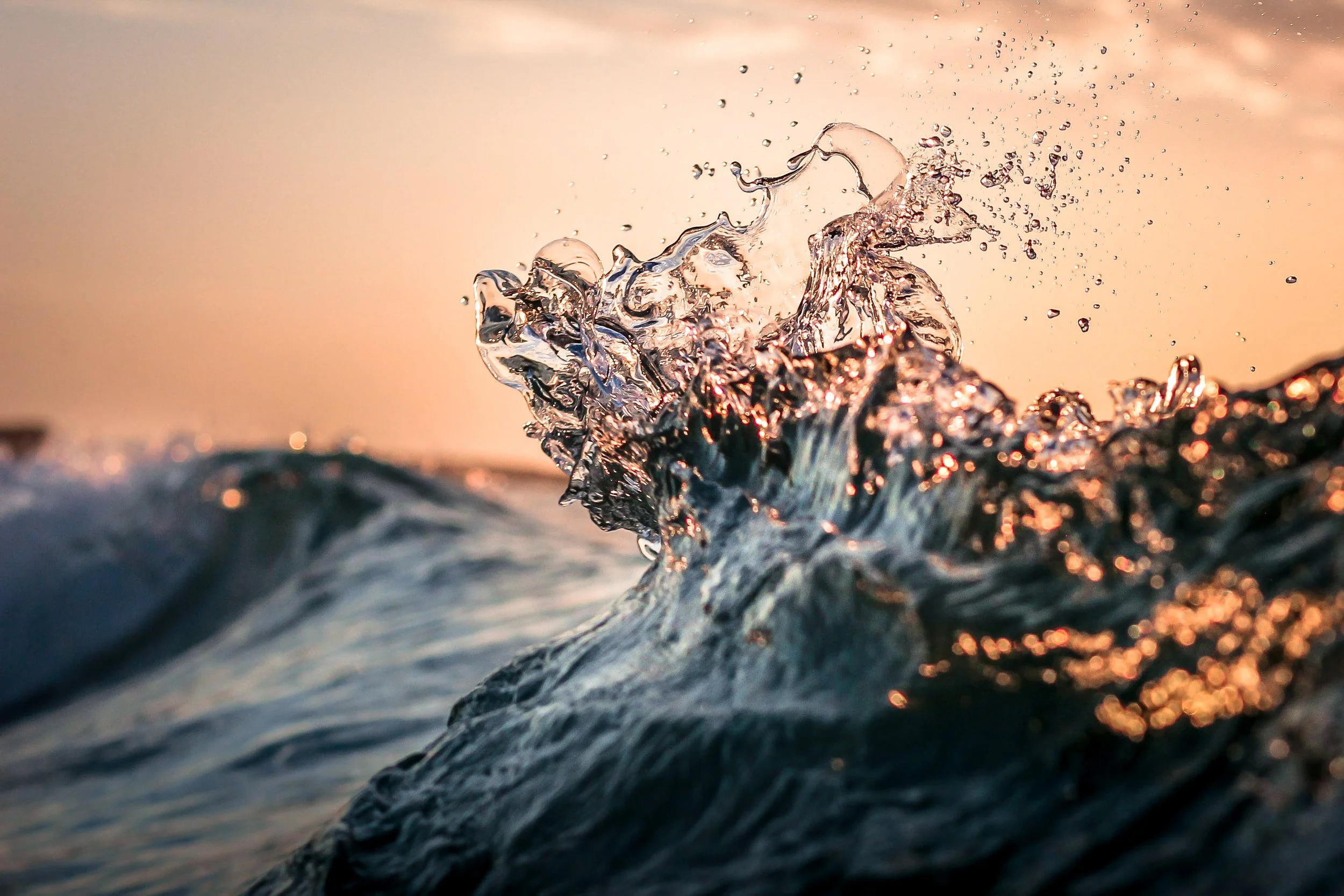 ocean, east coast, Tasmania, wedding, elope. 