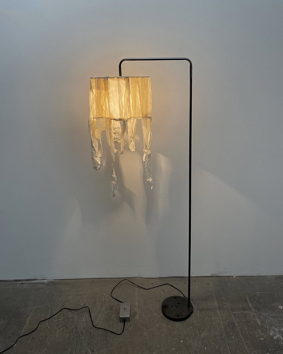 LAMP002 ROLLOUT.jpg
