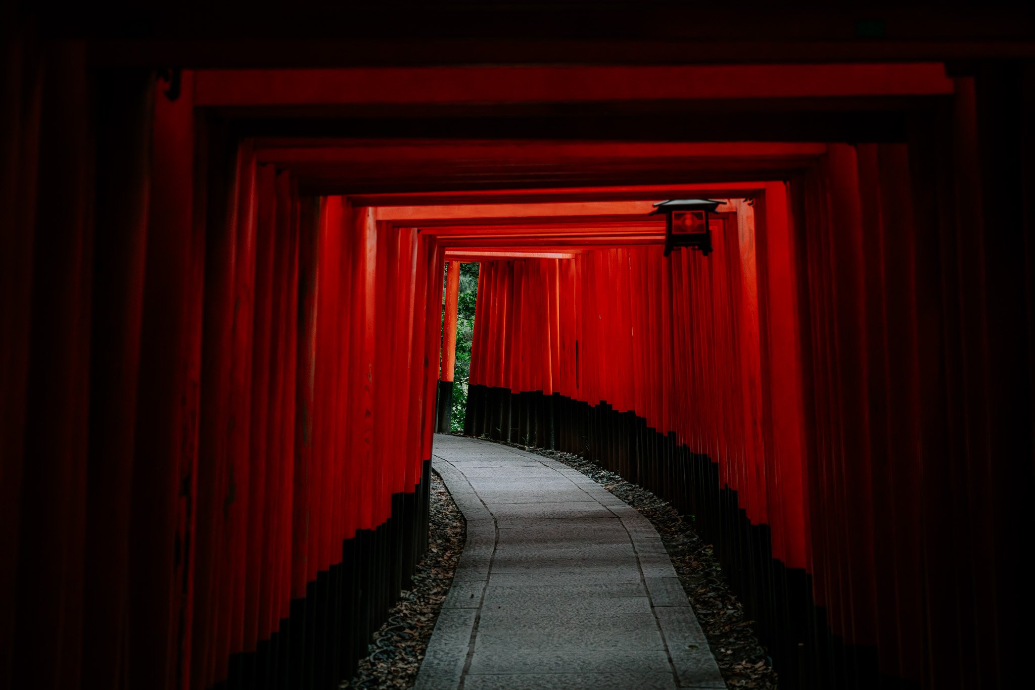 Into the Ember Path: Photographing the Thousand Gates of Fushimi Inari at Sunrise