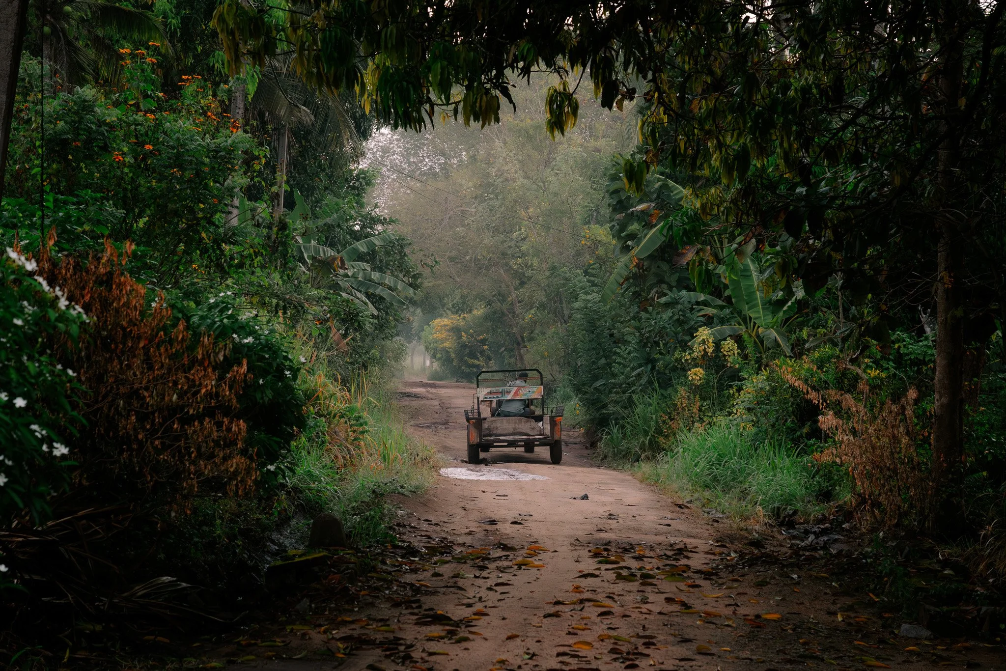 9-Day Sri Lanka Itinerary: A Photographic Journey