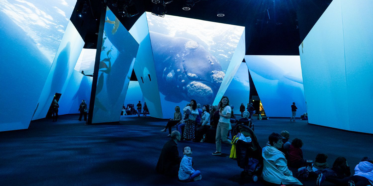 BBC Earth Experience