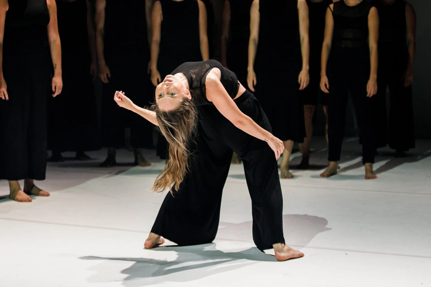 Stephanie Lake Company