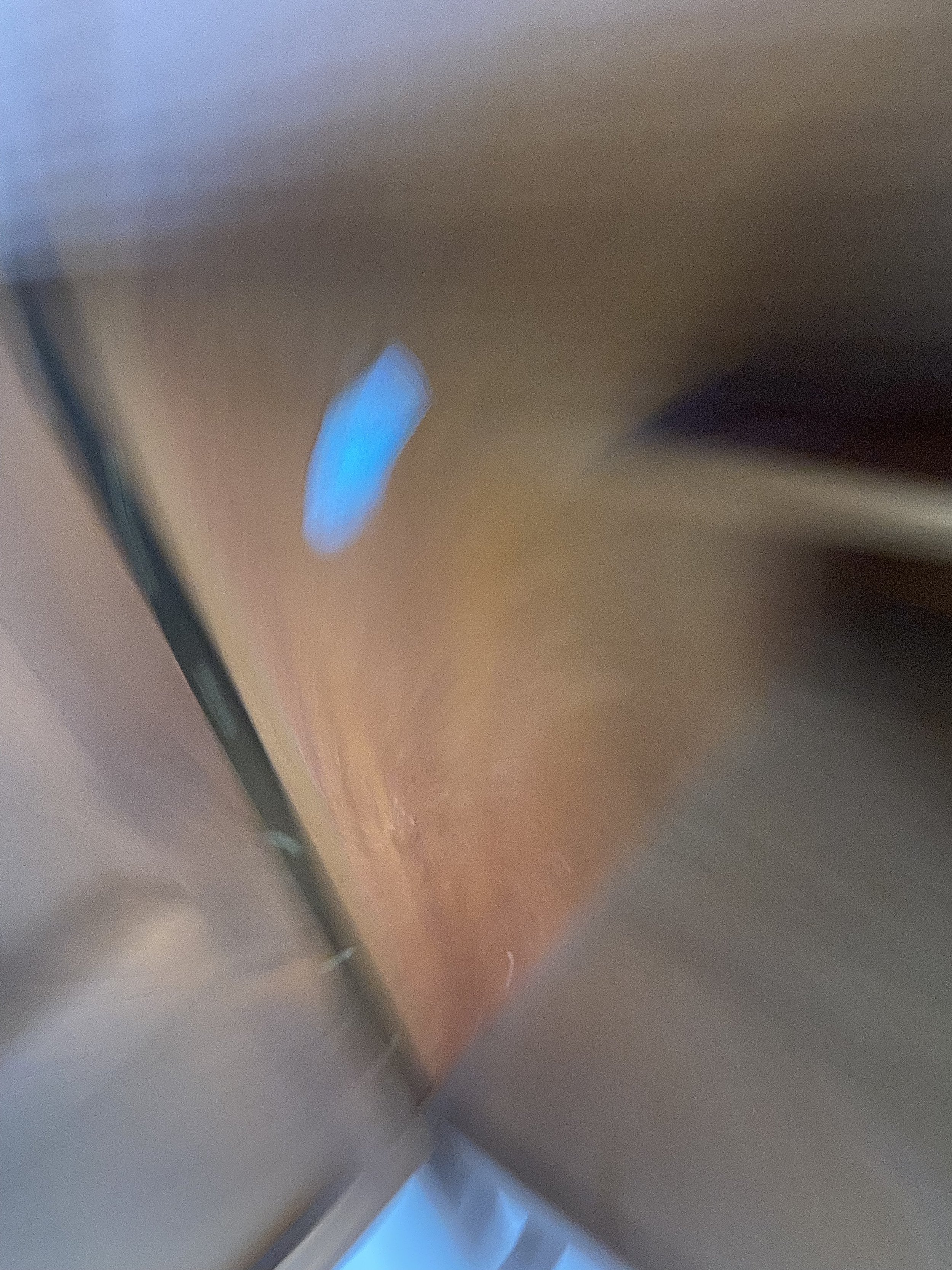 IMG_9213.jpeg