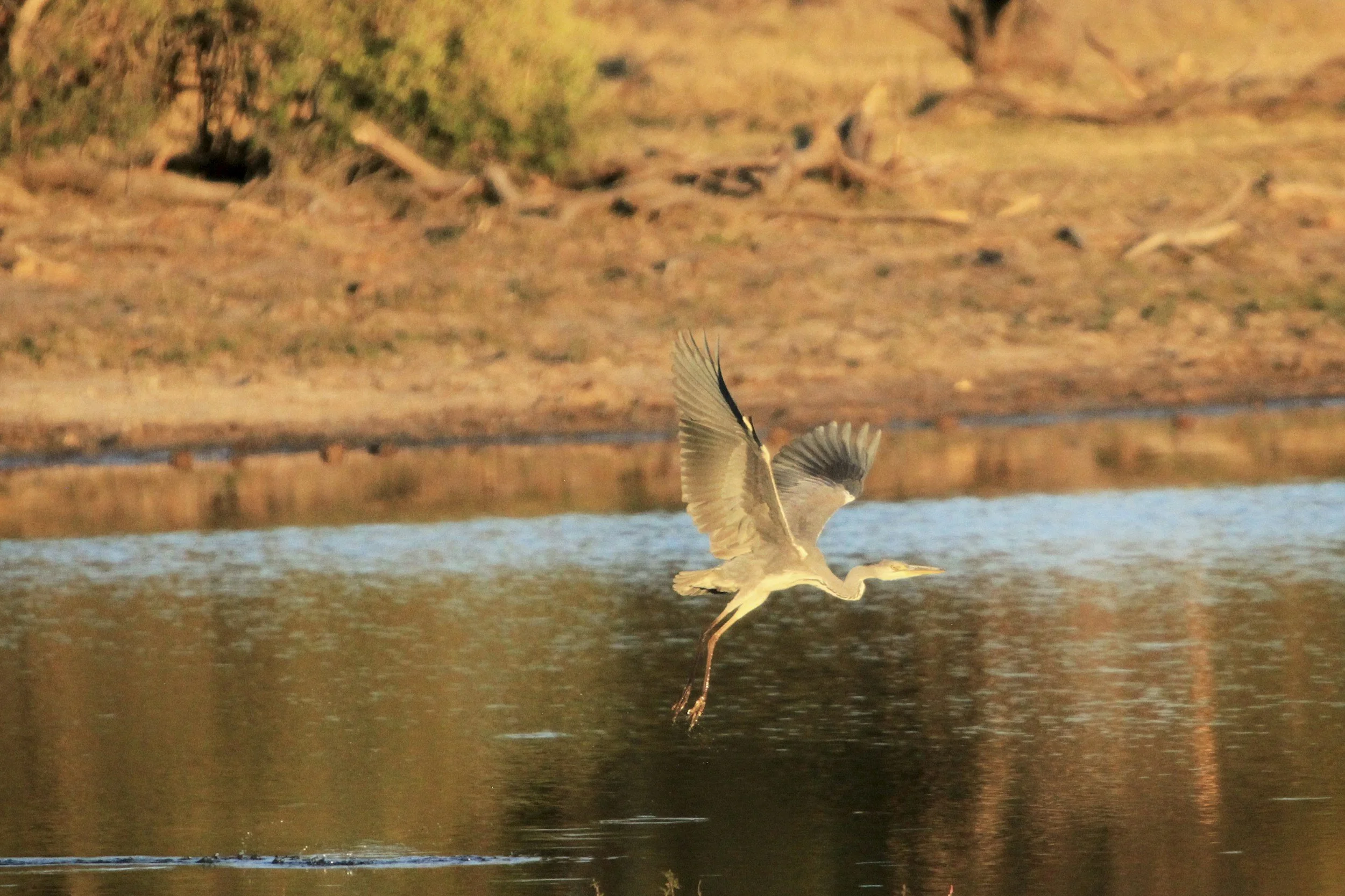 Poems for the Anxious Soul