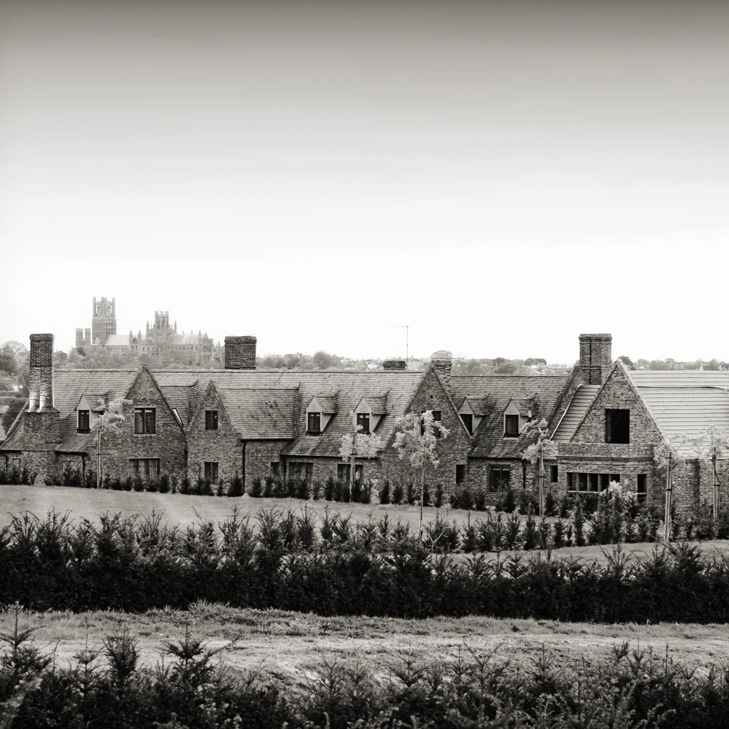 Stuntney Our Story | Discover the Vision and History of Ben's Yard and The ...