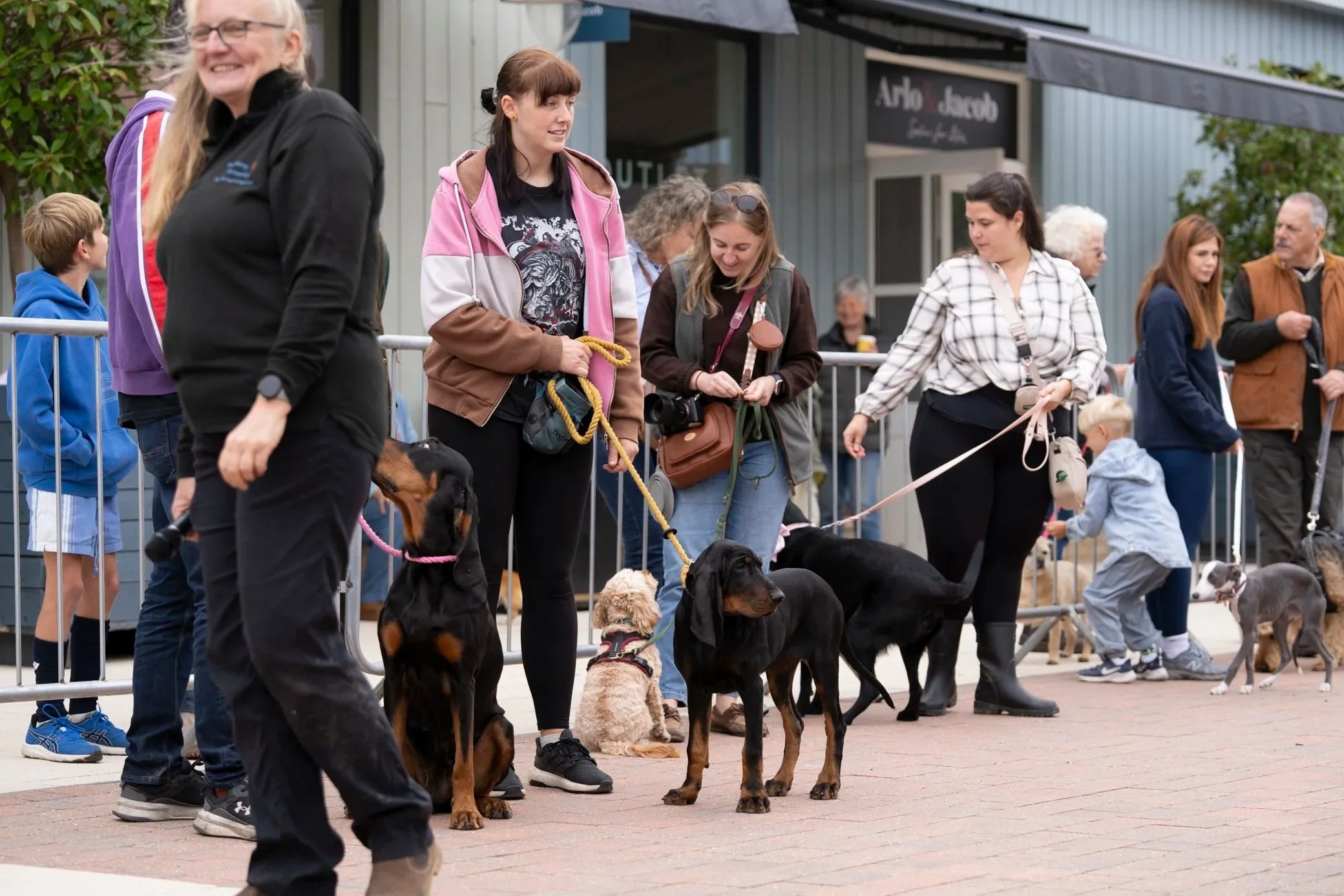 PET DOG SHOW