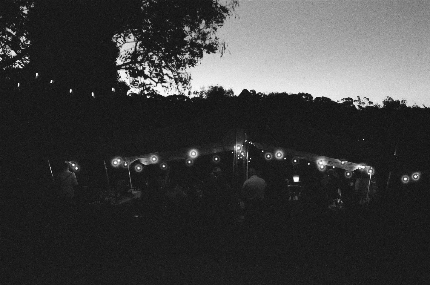 Availability update&hellip;.

Elopements~ fully booked until July 2026

Weddings ~ Fully booked untilJuly and the second half of 2026 is 70% full.

If you&rsquo;re getting married or eloping from mid this year onward reach out sooner rather than late