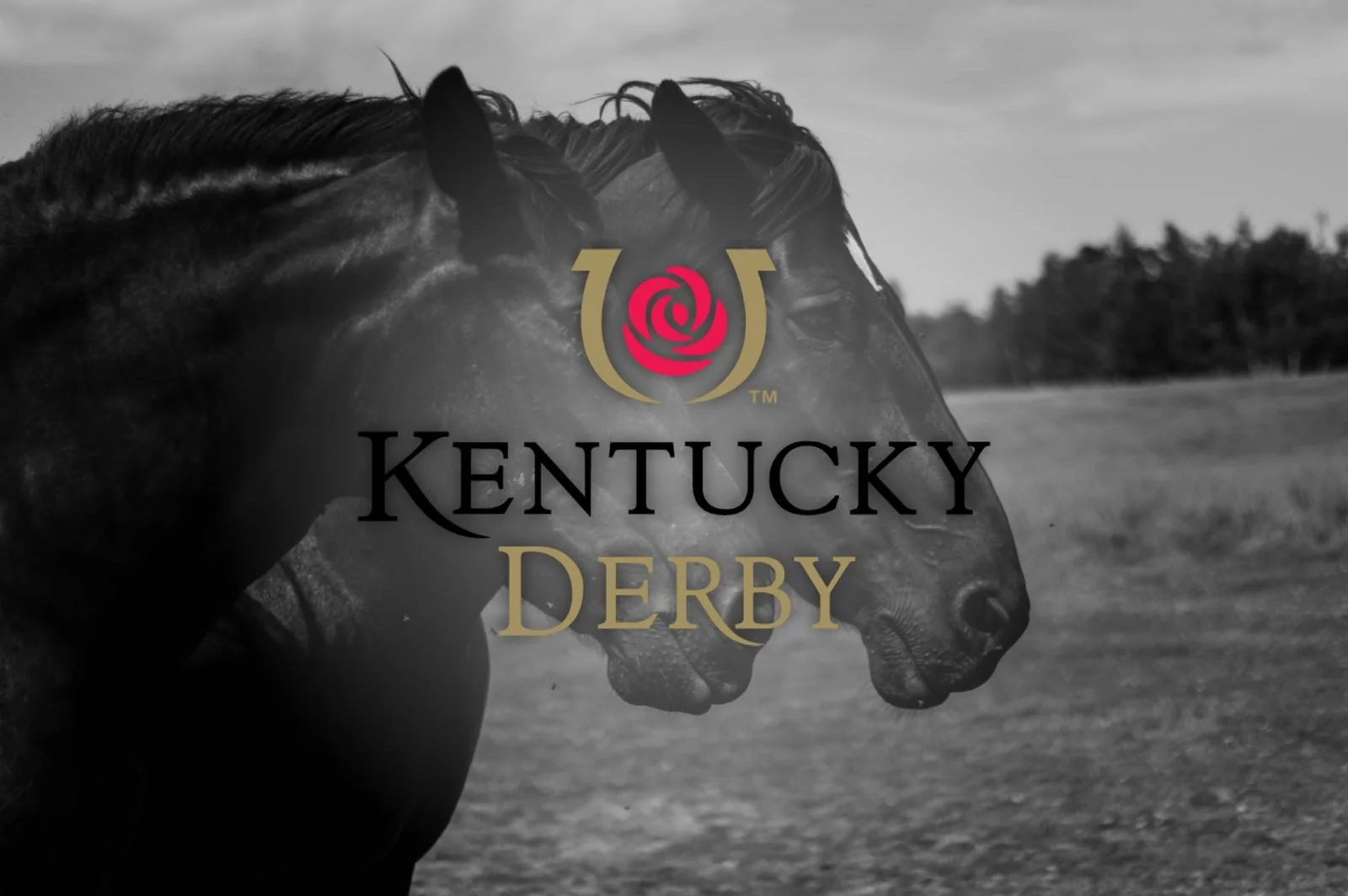 Dominating the Stores During a Key Event for Twinspires