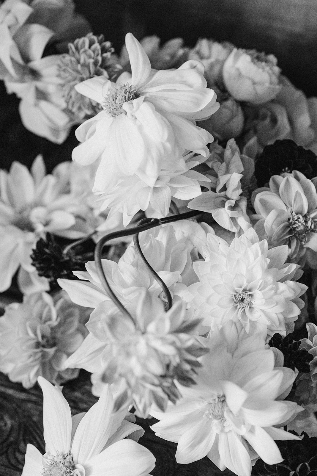 flowers wedding rome.jpg