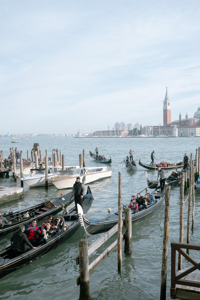 Venice - venice photographer.jpg