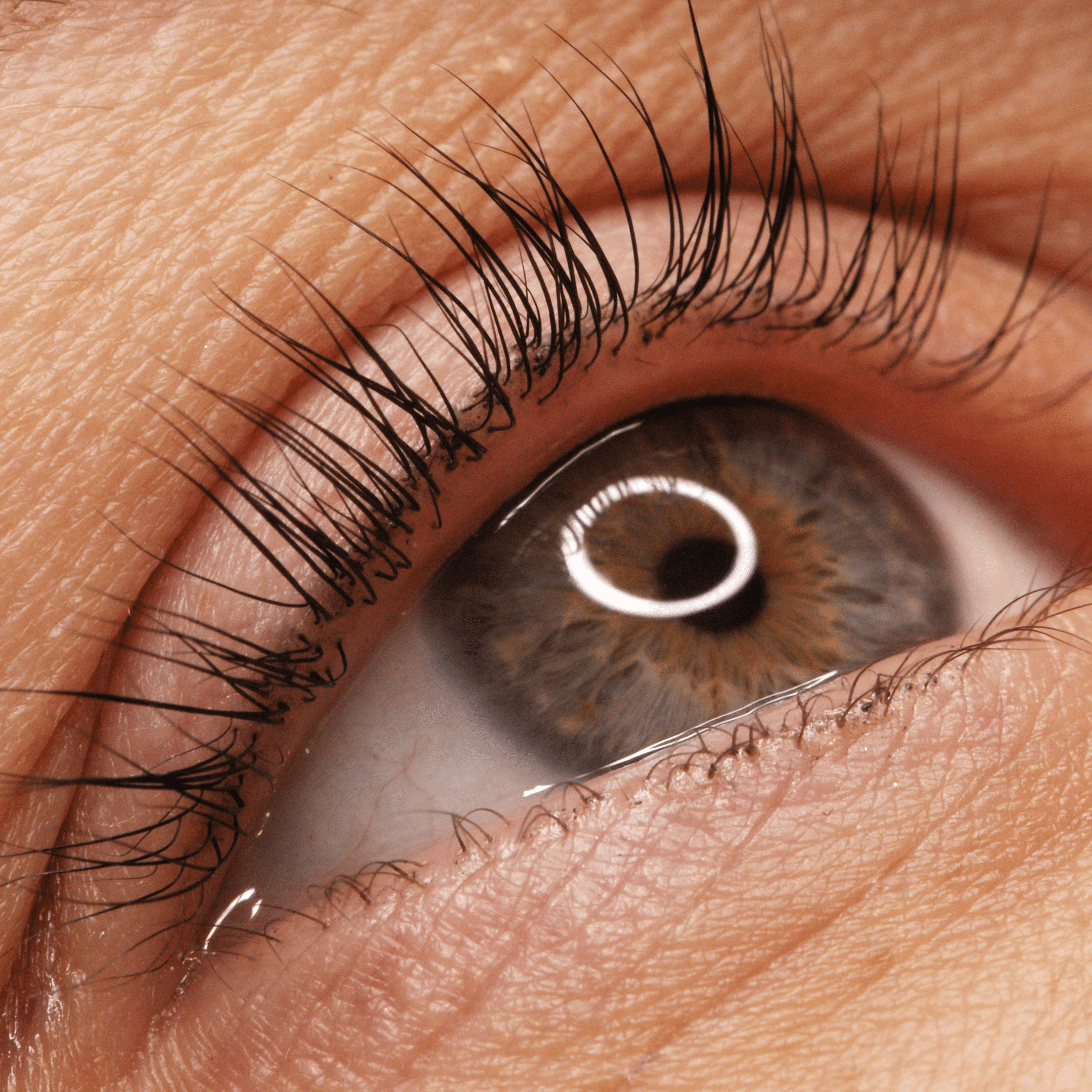 Réhaussement de cils