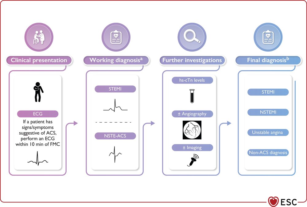 Acs guidelines 2023 new esc update powerful medical