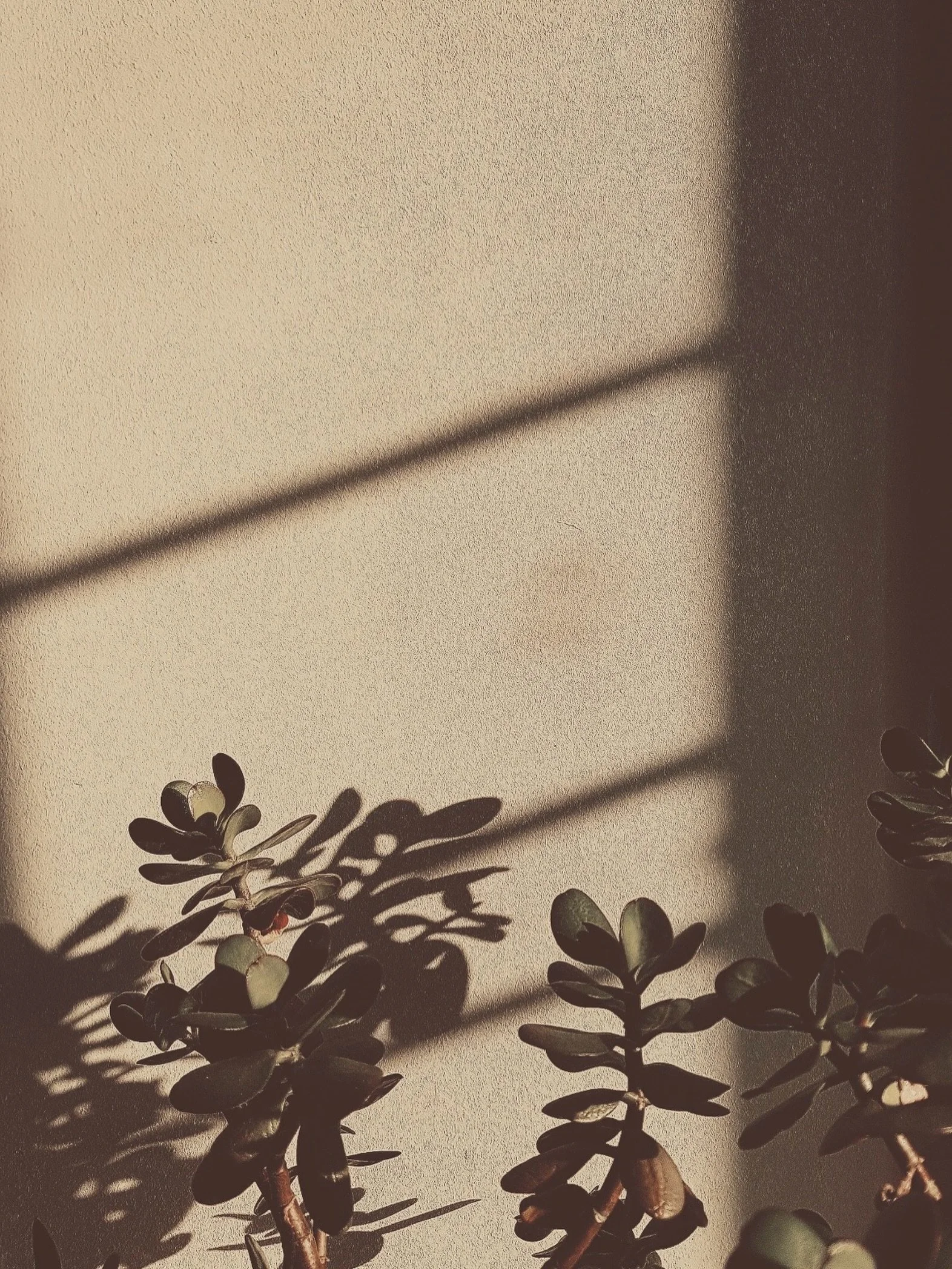 I&rsquo;ve realised I spend a lot of my life chasing light.

Waiting for brighter mornings.
A clearer head.
A season that feels easier.

And then sometimes it appears quietly for five minutes on a wall,
before disappearing again.

I think that&rsquo;