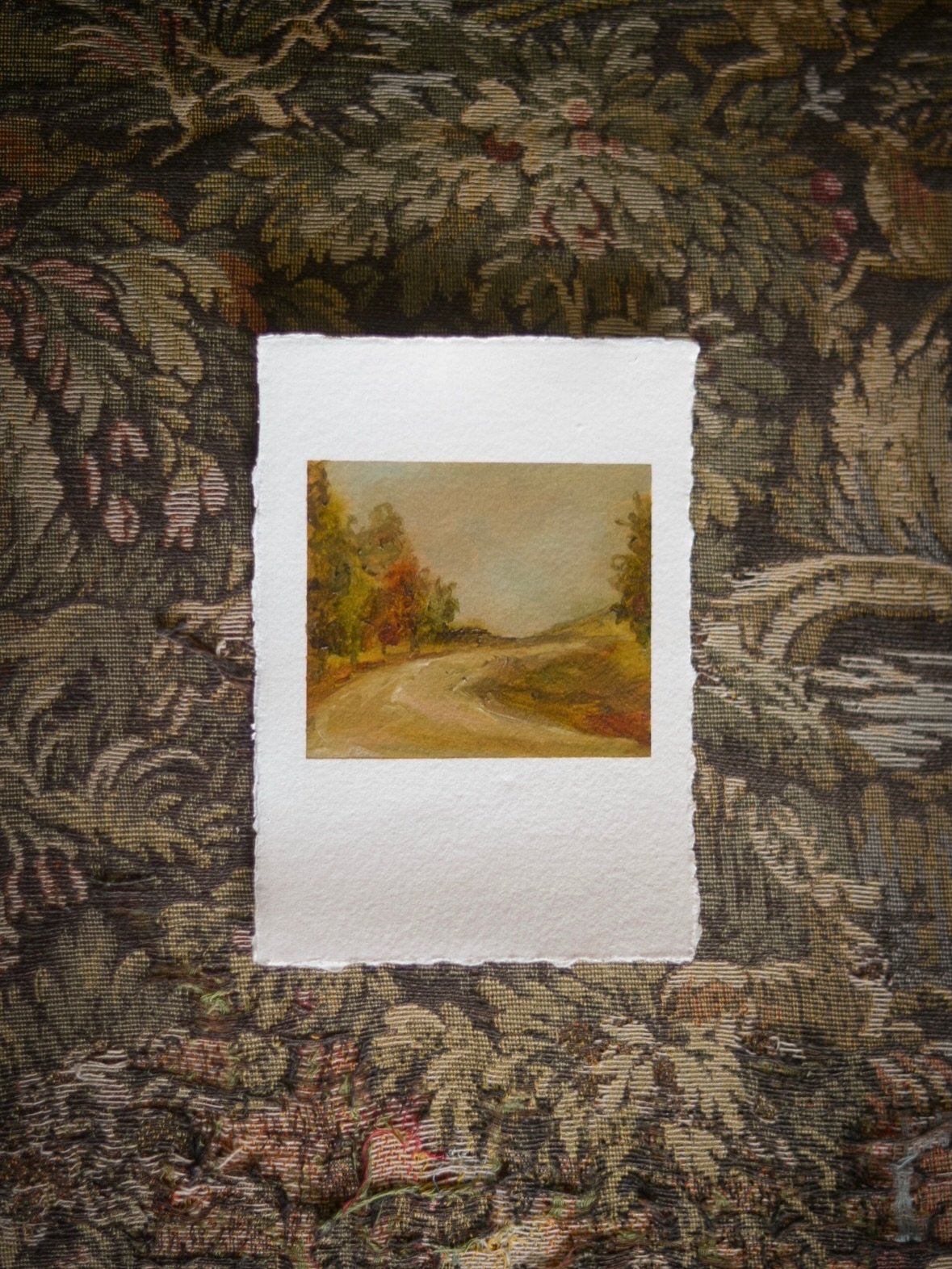 When I started working on this collection, I kept thinking about how much memory can be held in a landscape.

A road curving out of sight. Trees at the edge of a field. The colour of the land as one season begins to move into another.

Such ordinary 