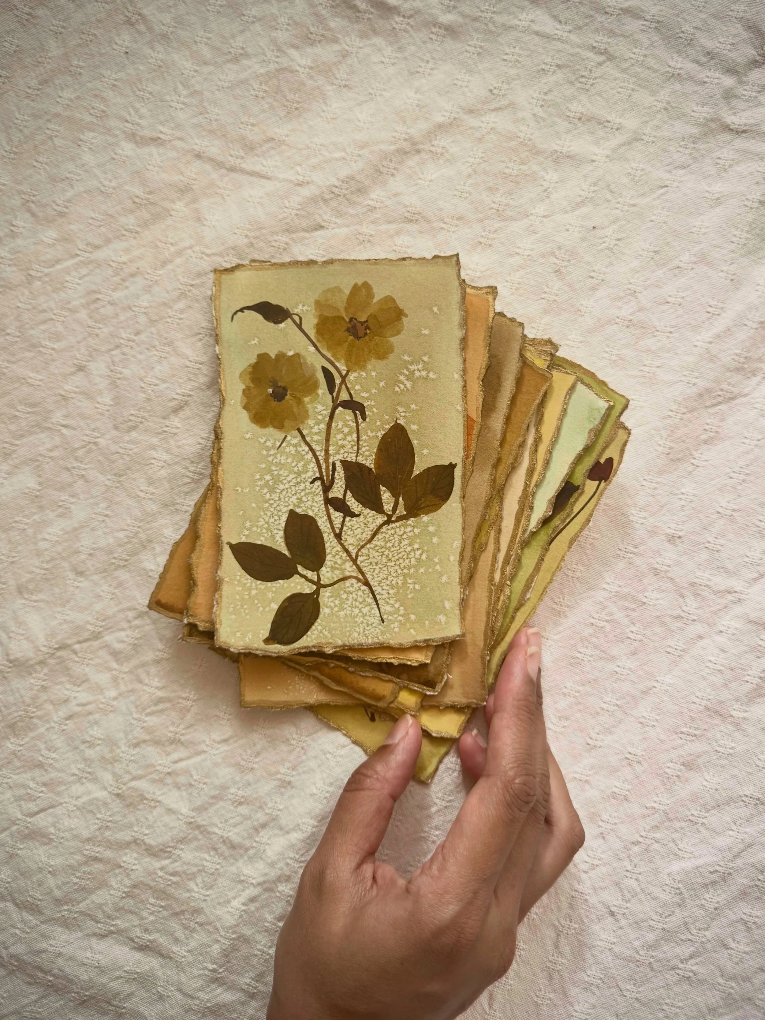 A first look at The Archive.

A small collection of original botanical watercolours from an earlier chapter of my work (2024), brought together for the first time.

Soft florals, a little more color, torn edges and touches of gold.

I&rsquo;ll be sha